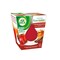 Air Wick AIRWICK CANDLE: Frosted Candle Sugar Apple and Warm Cinnamon (Pack of 3)